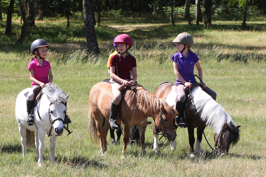 Lancement de la première Classe de Cheval