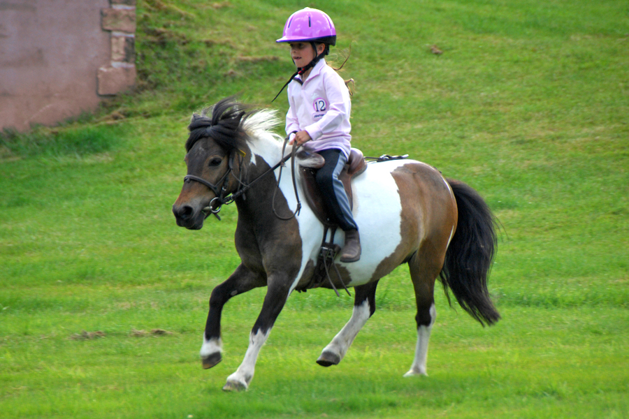 La Fédération Française d’Equitation