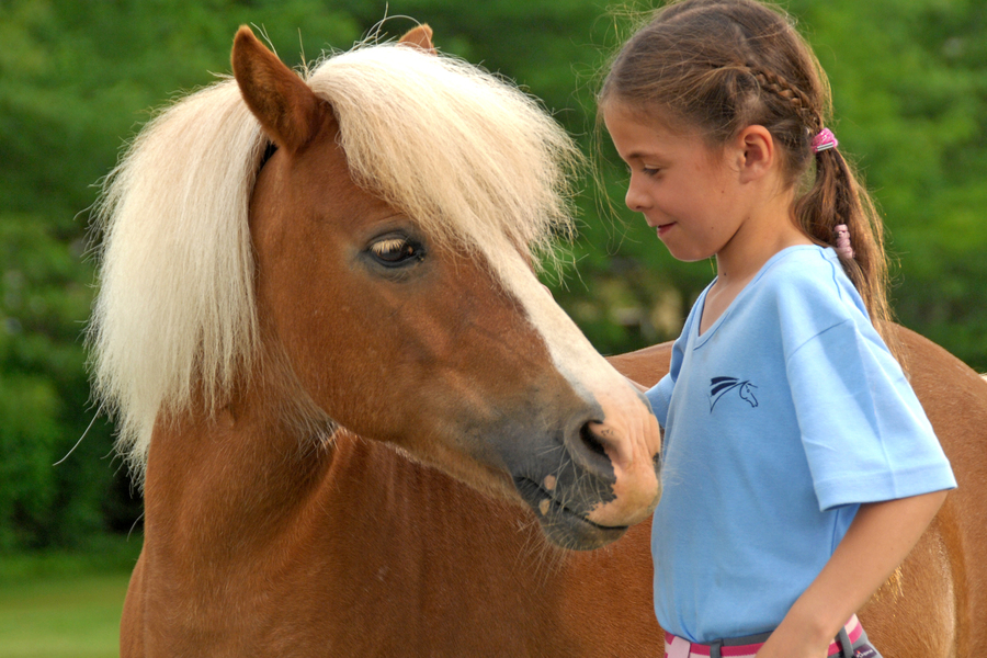 Quelles sont les raisons de l’engouement des enfants pour le poney ?